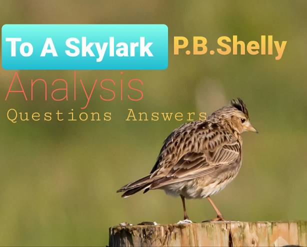 analysis of to a skylark